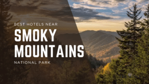 Read more about the article Best Hotels Near Smoky Mountains National Park (2026 Guide)