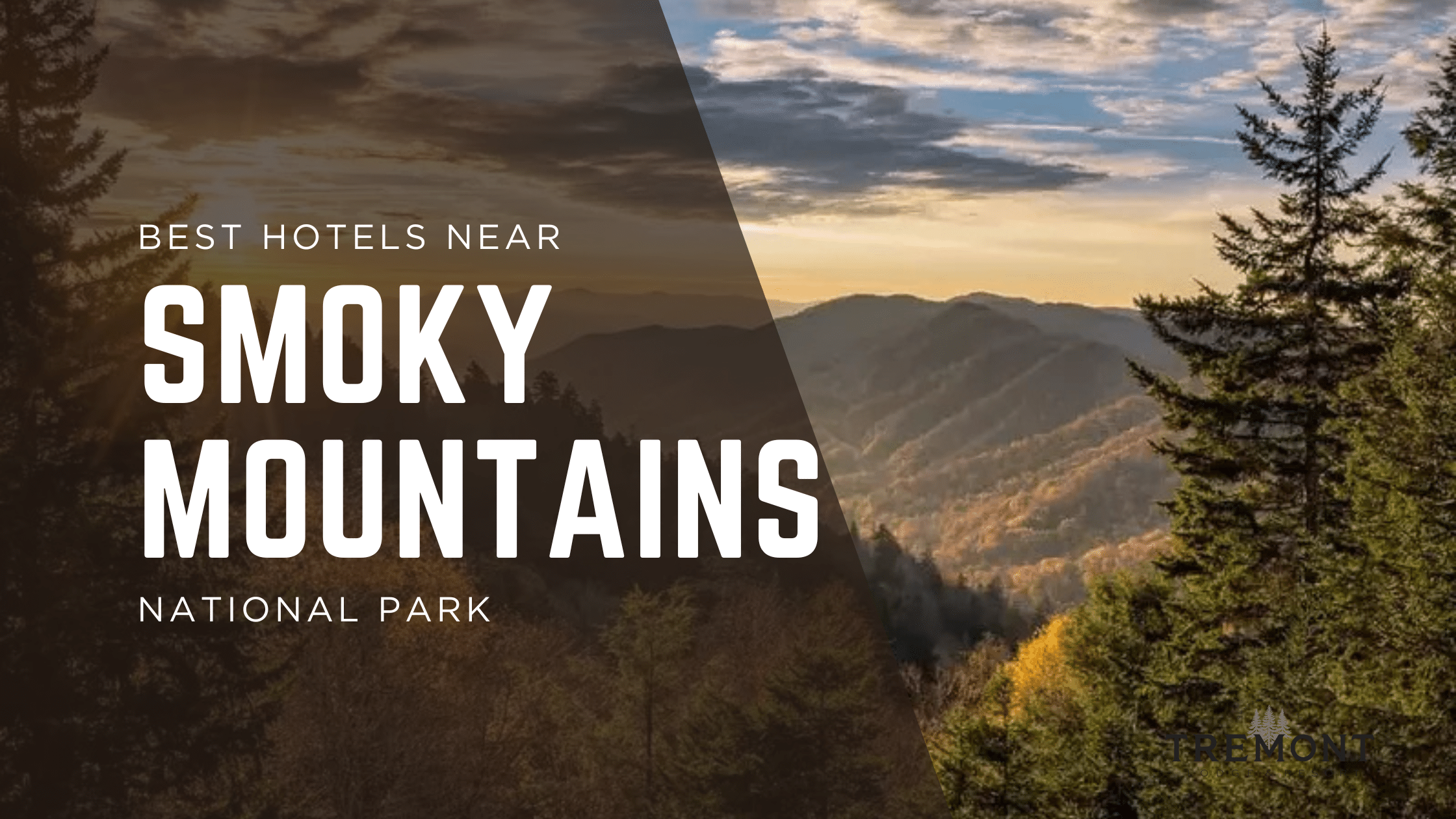 Read more about the article Best Hotels Near Smoky Mountains National Park (2026 Guide)