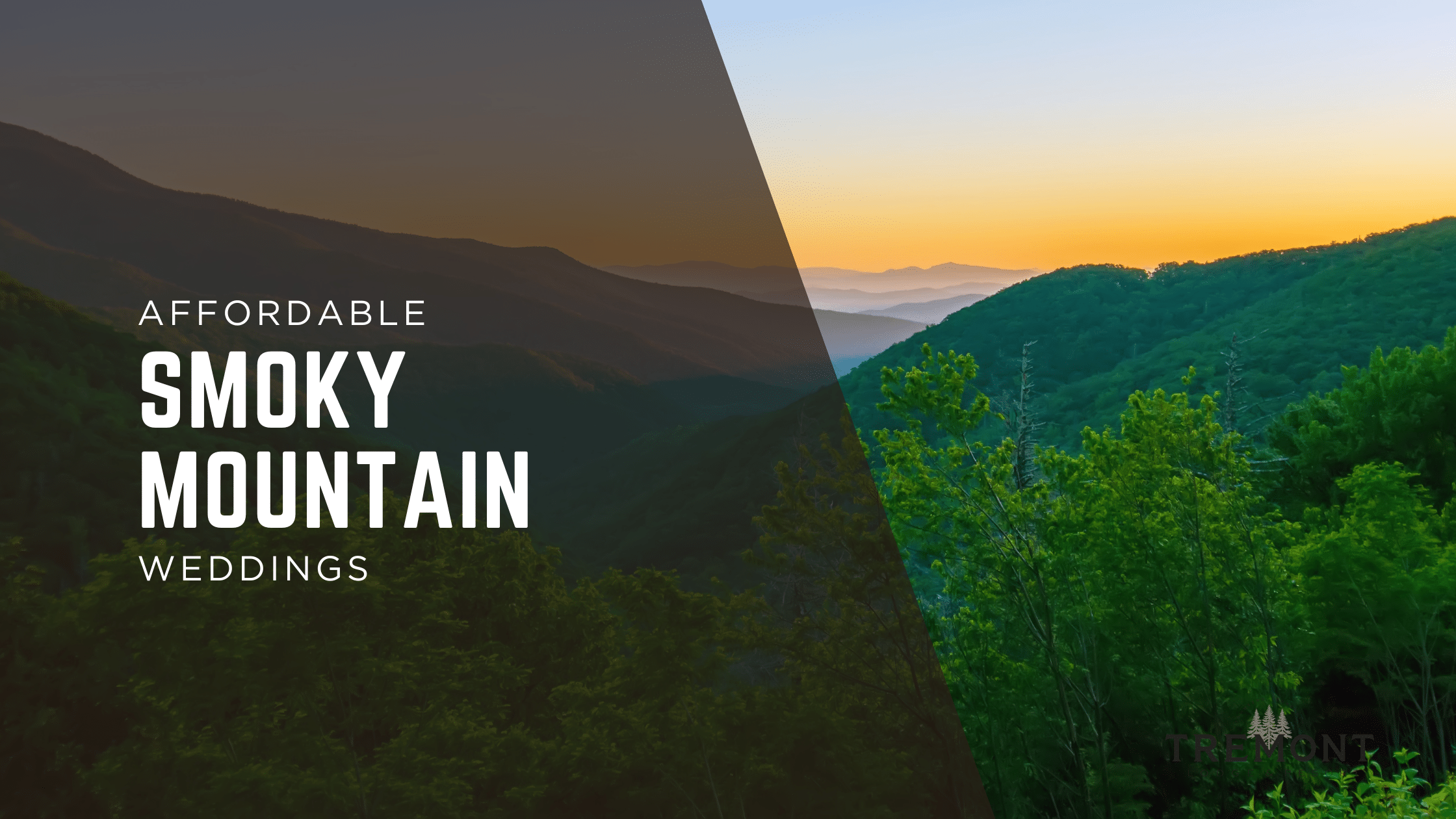 Read more about the article Affordable Smoky Mountain Wedding: How to Plan a Budget Wedding 